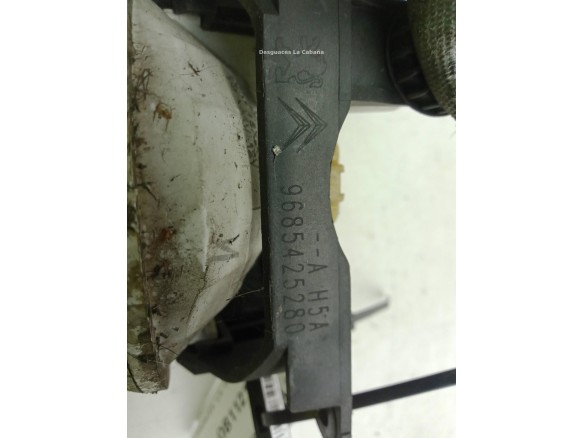 9685425280 NIEBLA DEL IZQ CITROEN C3 II|Desguaces La Cabaña