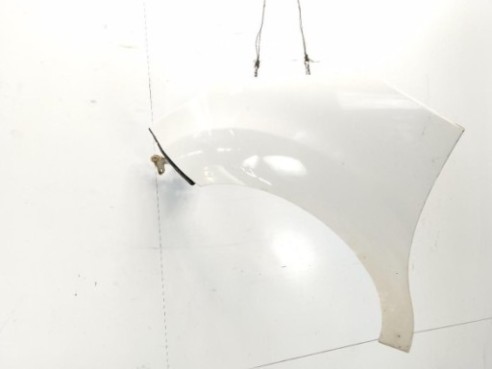 7840X7 ALETA DEL IZQ CITROEN C3 II|Desguaces La Cabaña