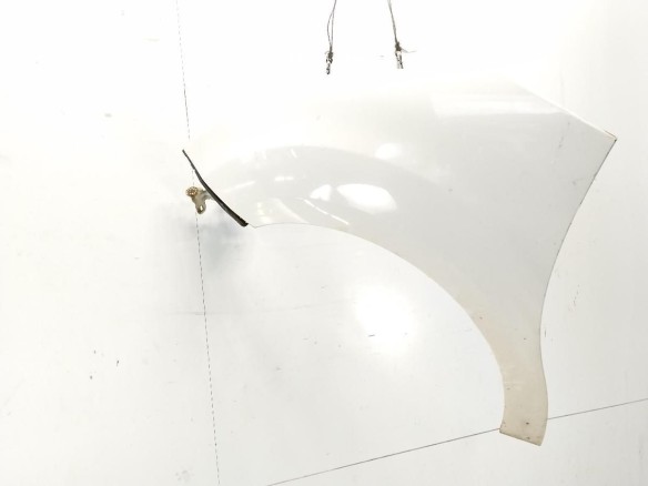 7840X7 ALETA DEL IZQ CITROEN C3 II|Desguaces La Cabaña