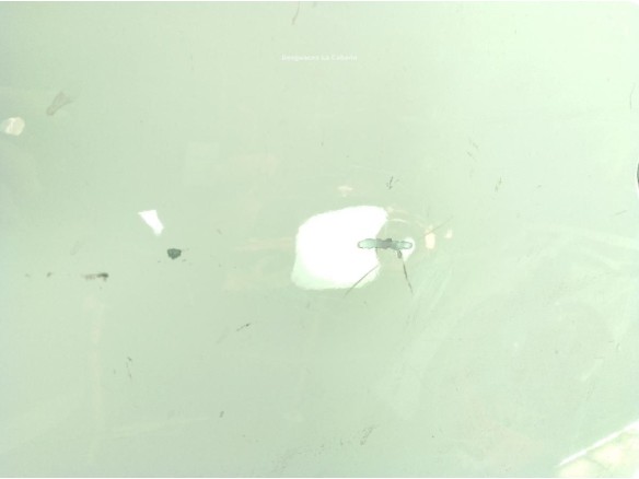 PUERTA LAT DEL IZQ MAZDA CX-3 (DK)|Desguaces La Cabaña