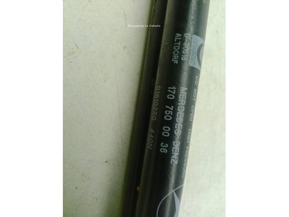 AMORTIGUADOR PORTON / TAPA MALETA MERCEDES BENZ SLK (R170)|Desguaces La Cabaña