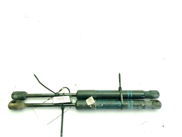 51237239233 AMORTIGUADOR CAPO BMW 1 (F21)|Desguaces La Cabaña