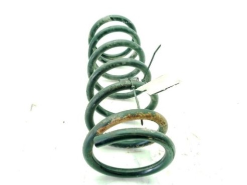   MUELLE SUSPENSION TRA IZQ NISSAN PATHFINDER III (R51)|Desguaces La Cabaña