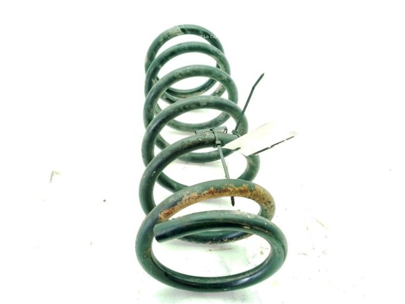   MUELLE SUSPENSION TRA IZQ NISSAN PATHFINDER III (R51)|Desguaces La Cabaña