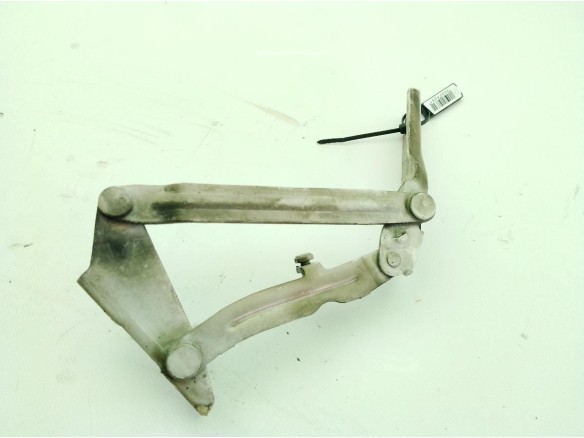 9067500021 BISAGRA CAPO IZQ VW CRAFTER 30-50 Furgón (2E_)|Desguaces La Cabaña