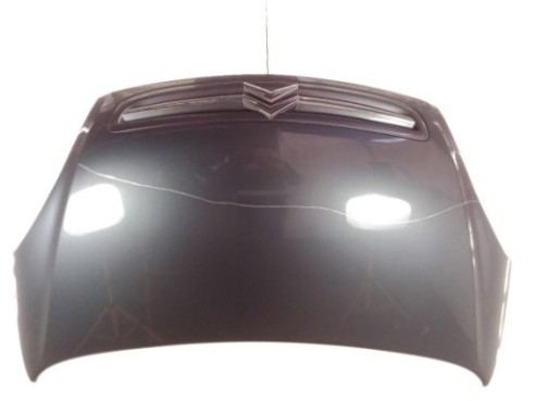 7901H4 CAPO CITROEN XSARA PICASSO (N68)|Desguaces La Cabaña