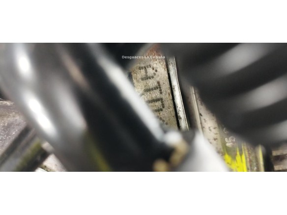 ATD MOTOR VW GOLF IV (1J1)|Desguaces La Cabaña