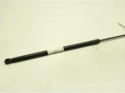 AMORTIGUADOR CAPO AUDI A4 (8K2, B8)|Desguaces La Cabaña