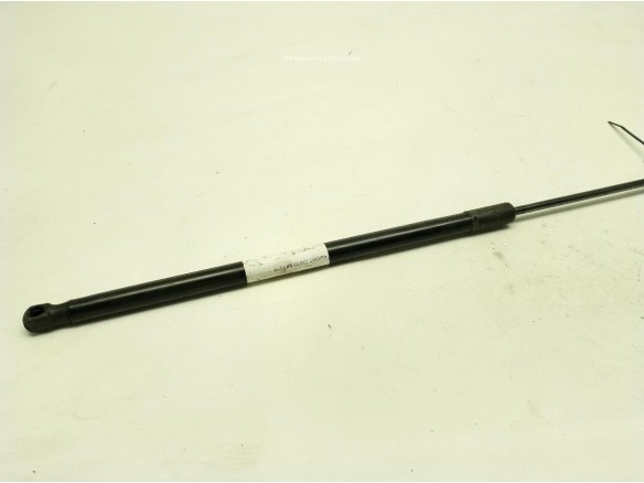 AMORTIGUADOR CAPO AUDI A4 (8K2, B8)|Desguaces La Cabaña