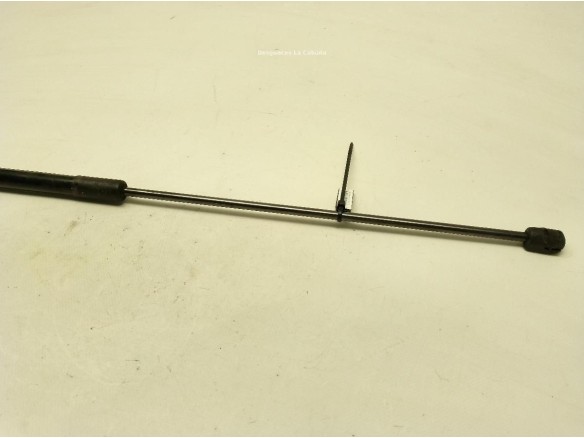 AMORTIGUADOR CAPO AUDI A4 (8K2, B8)|Desguaces La Cabaña