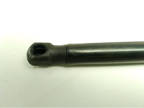 AMORTIGUADOR CAPO AUDI A4 (8K2, B8)|Desguaces La Cabaña