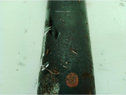 0001362578080 AMORTIGUADOR TRA IZQ FIAT DUCATO Caja/Chasis (250_, 290_)|Desguaces La Cabaña