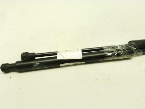 AMORTIGUADOR PORTON / TAPA MALETA CITROEN C3 II|Desguaces La Cabaña