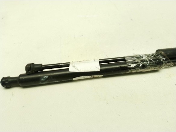 AMORTIGUADOR PORTON / TAPA MALETA CITROEN C3 II|Desguaces La Cabaña