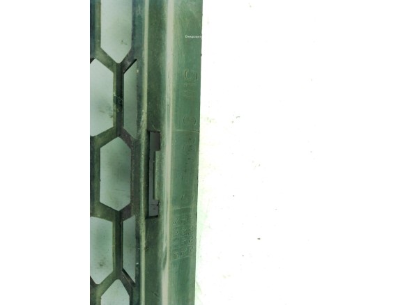   REJILLA PARAGOLPES DEL CENTRAL BMW 6 Coupé (F13)|Desguaces La Cabaña