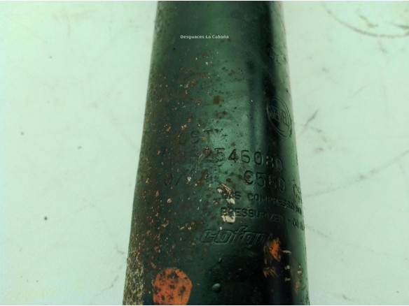 0001362578080 AMORTIGUADOR TRA DER FIAT DUCATO Caja/Chasis (250_, 290_)|Desguaces La Cabaña