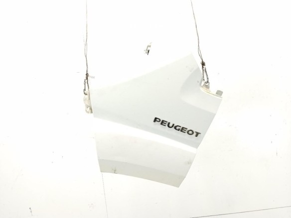 1610458580 ALETA DEL IZQ PEUGEOT BOXER Furgón|Desguaces La Cabaña