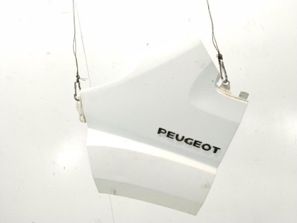 1610458580 ALETA DEL IZQ PEUGEOT BOXER Furgón|Desguaces La Cabaña