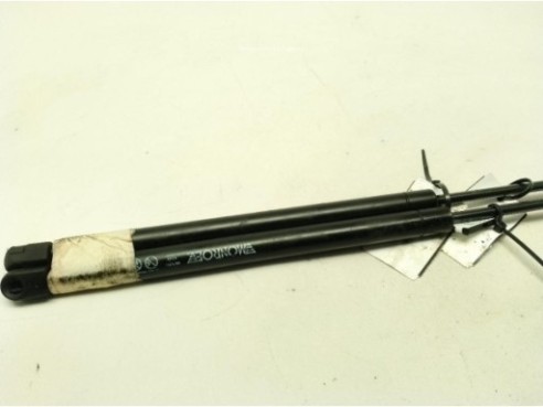 AMORTIGUADOR CAPO CITROEN C5 I (DC_)|Desguaces La Cabaña