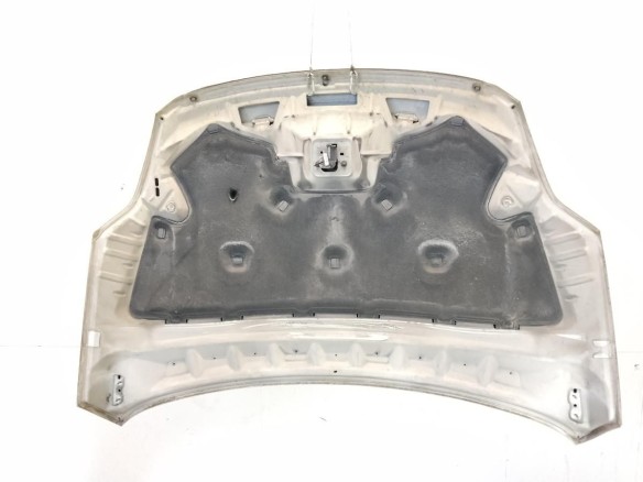 1718513 CAPO FORD KUGA I|Desguaces La Cabaña