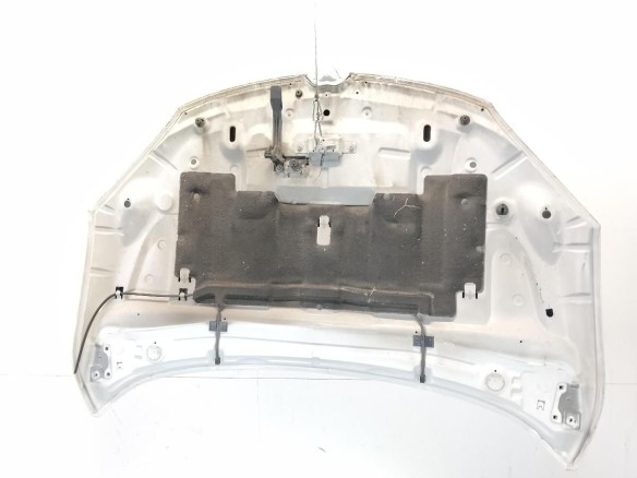 651009018R CAPO RENAULT MEGANE III Coupé (DZ0/1_)|Desguaces La Cabaña