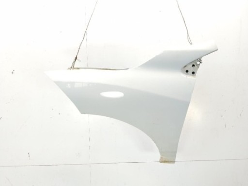   FRENTE RENAULT MEGANE III Coupé (DZ0/1_)|Desguaces La Cabaña
