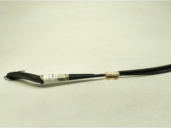 BRAZO LIMPIAPARABRISAS DEL IZQ FORD C-MAX II (DXA/CB7, DXA/CEU)|Desguaces La Cabaña