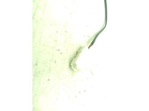 B57D30B MOTOR BMW 7 (G11, G12)|Desguaces La Cabaña 2
