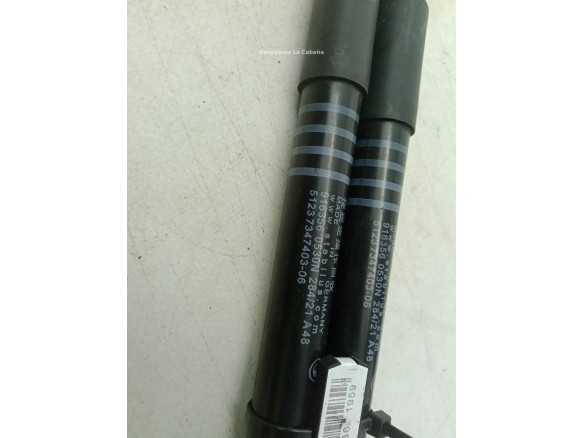 51237347403 AMORTIGUADOR CAPO BMW 7 (G11, G12)|Desguaces La Cabaña