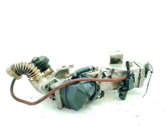 11717810871 EGR BMW 1 (F21)|Desguaces La Cabaña