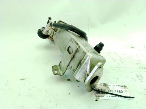 11717810871 EGR BMW 1 (F21)|Desguaces La Cabaña