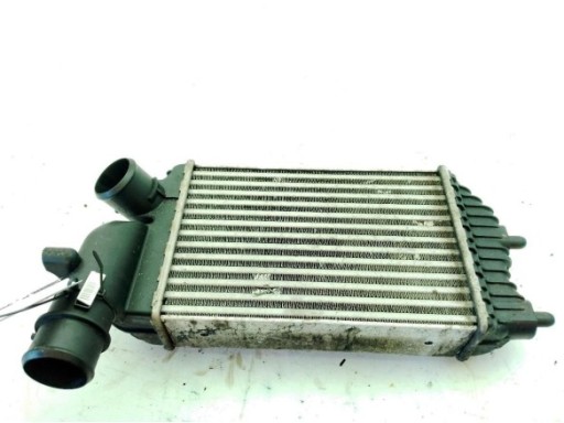 1307194080 CAJA FILTRO AIRE PEUGEOT BOXER Furgón (244)|Desguaces La Cabaña