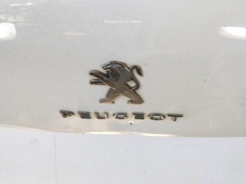 8701AP PORTON PEUGEOT 3008 SUV (M_)|Desguaces La Cabaña