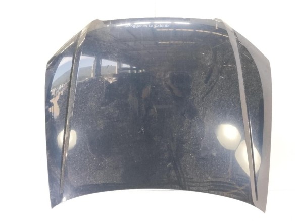 8E0823029D CAPO AUDI A4 Avant (8ED, B7)|Desguaces La Cabaña