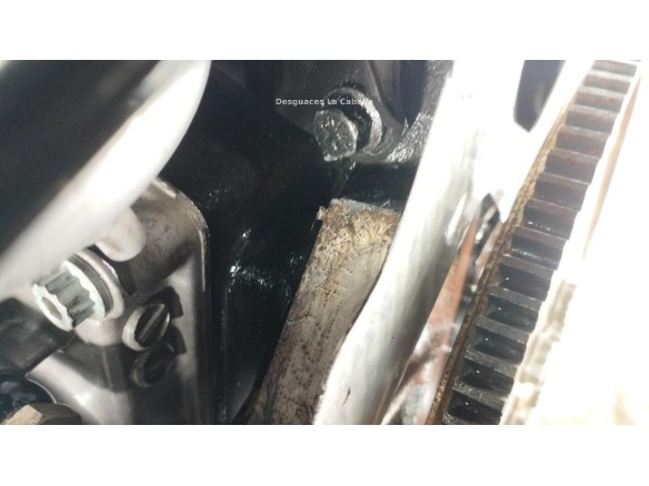 AVF MOTOR VW PASSAT Variant (3B6)|Desguaces La Cabaña