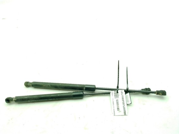 654707606R, 654700462R AMORTIGUADOR CAPO RENAULT MEGANE IV (B9A/M_)|Desguaces La Cabaña