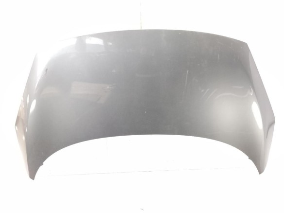 651003439R CAPO RENAULT SCENIC III (JZ0/1_)|Desguaces La Cabaña