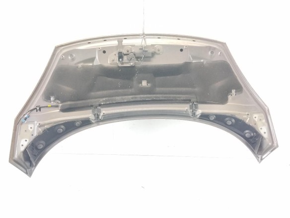 651003439R CAPO RENAULT SCENIC III (JZ0/1_)|Desguaces La Cabaña