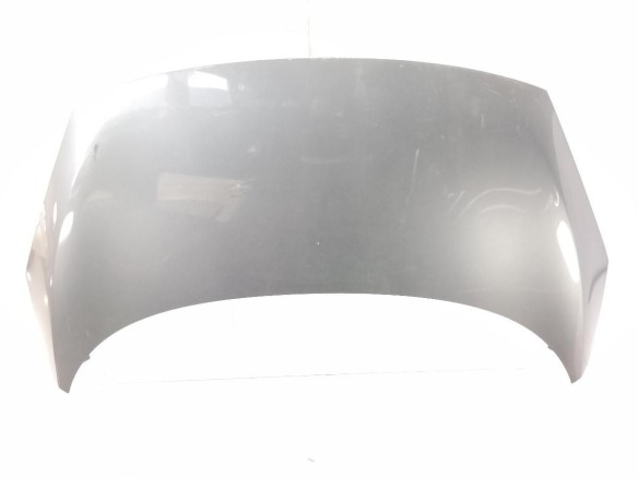 651003439R CAPO RENAULT SCENIC III (JZ0/1_)|Desguaces La Cabaña