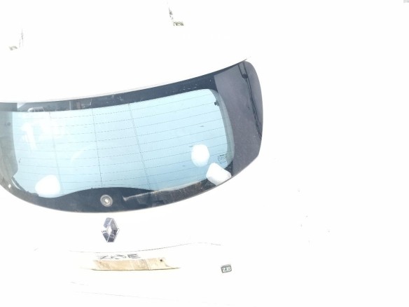 901003877R PORTON RENAULT ZOE (BFM_)|Desguaces La Cabaña