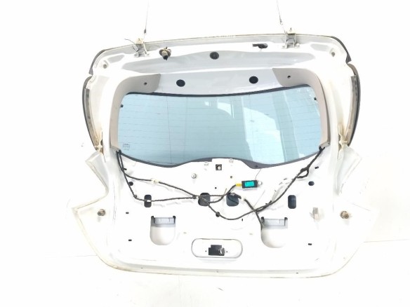 901003877R PORTON RENAULT ZOE (BFM_)|Desguaces La Cabaña
