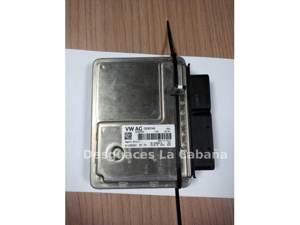 05C907445 CENTRALITA MOTOR SEAT IBIZA V (KJ1)|Desguaces La Cabaña