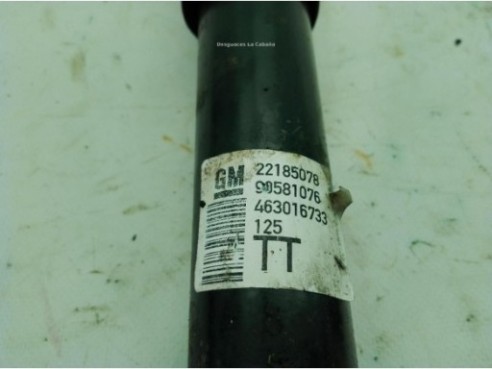 72119059 AMORTIGUADOR TRA DER OPEL ZAFIRA A Limusina (T98)|Desguaces La Cabaña