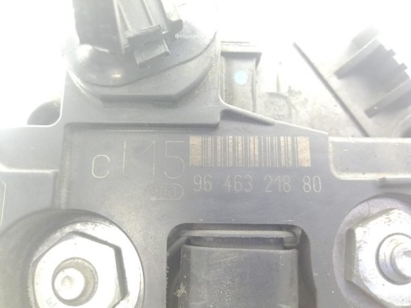 9646321880 ALTERNADOR CITROEN C4 Picasso I Limusina (UD_)|Desguaces La Cabaña