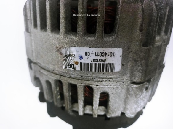 TG14C011 ALTERNADOR VW GOLF PLUS (5M1, 521)|Desguaces La Cabaña