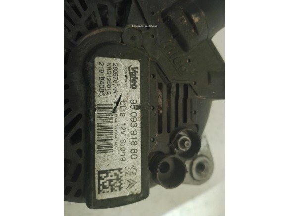 9809391880 ALTERNADOR OPEL CROSSLAND X (P17)|Desguaces La Cabaña