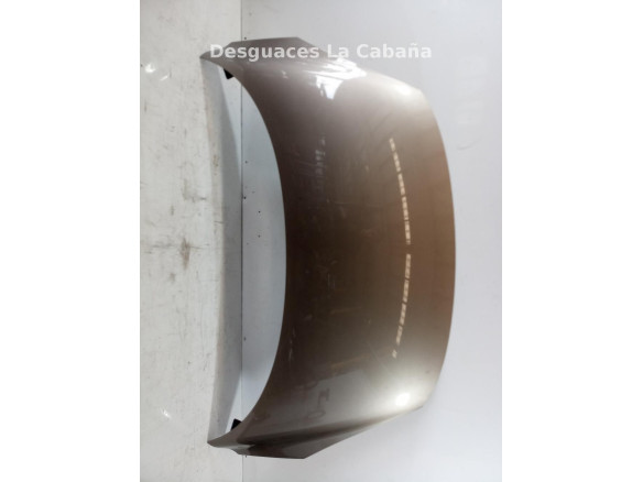 CAPO RENAULT SCÉNIC III (JZ0/1_) |Desguaces La Cabaña