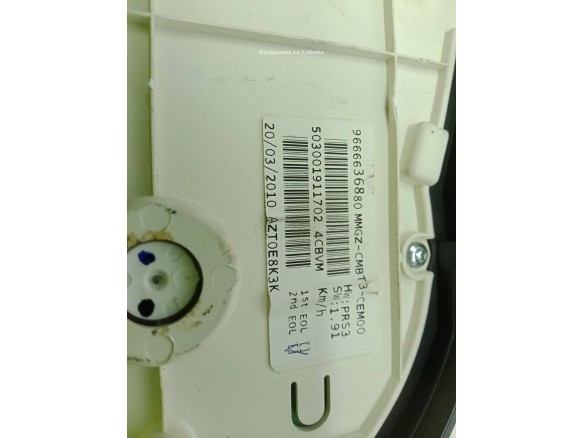 9666636880, CUADRO INSTRUMENTOS PEUGEOT 206+ (T3E)|Desguaces La Cabaña