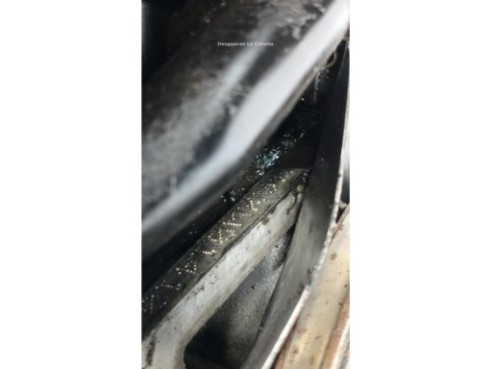 AXW MOTOR AUDI A3 (8P1)|Desguaces La Cabaña