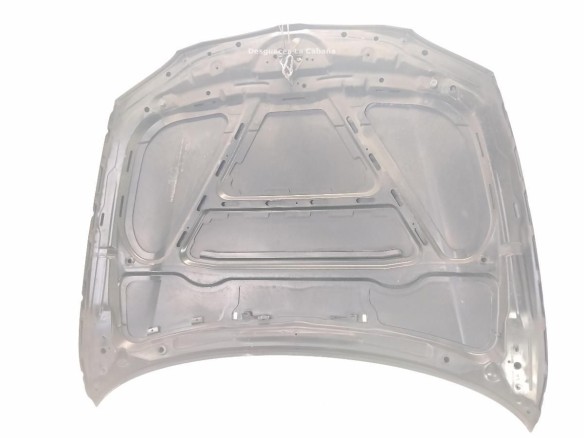 41627162102 CAPO BMW 1 (E87)|Desguaces La Cabaña